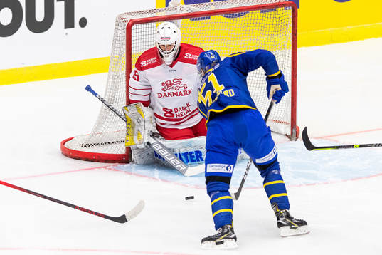 Danmark målvakt Thomas Lillie och Sveriges Emil Sylvegård
