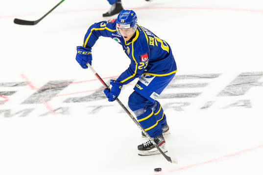 Sveriges Jesper Sellgren