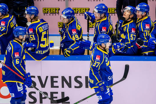 under ishockeymatchen i träningsmatchen mellan Sverige och