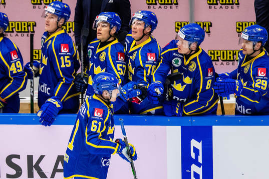 Sveriges Markus Ljungh jublar