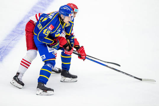 Sveriges Filip Hållander