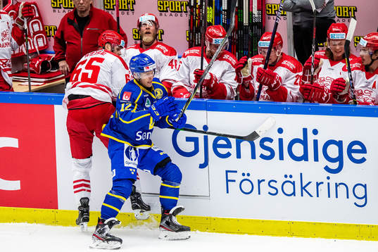 Danmarks Christian Wejse och Sveriges Max Friberg