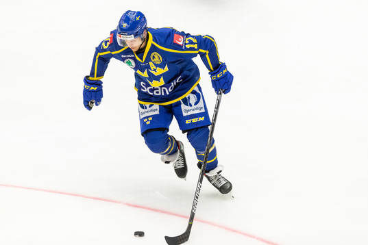 Sveriges Max Friberg