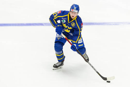 Sveriges Jesper Sellgren