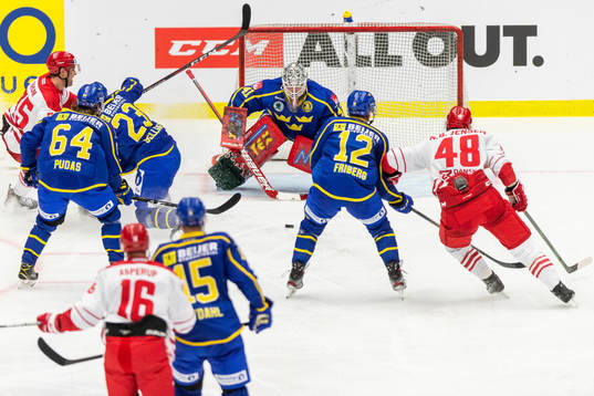 Sveriges målvakt Niklas Rubin