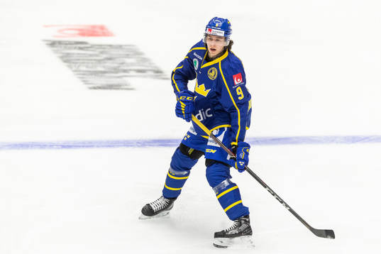 Sveriges Alberg Johansson