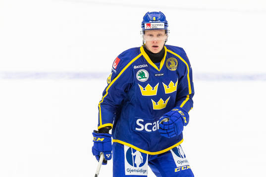 Sveriges Fredrik Olofsson