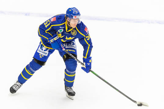 Sveriges Emil Sylvegård