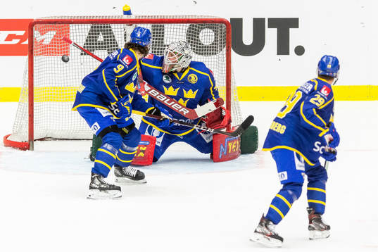 Sveriges Alberg Johansson och målvakt Niklas Rubin