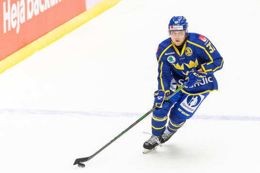 Sveriges Jesper Pettersson