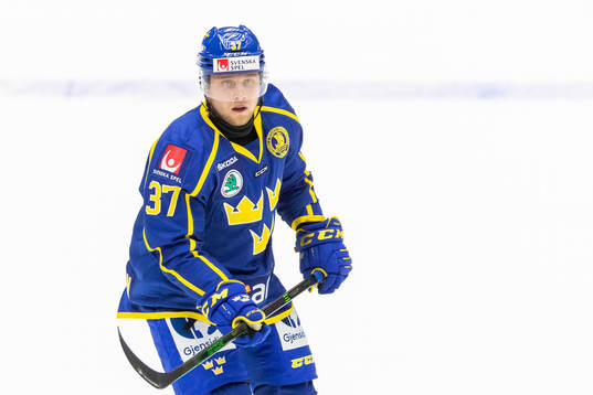 Sveriges Jesper Pettersson