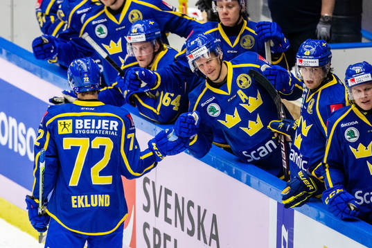 under ishockeymatchen i träningsmatchen mellan Sverige och