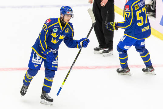 Sveriges William Eklund jublar