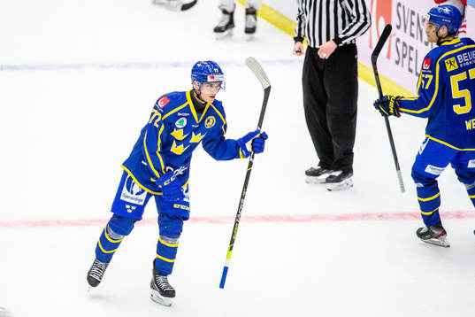 Sveriges William Eklund jublar