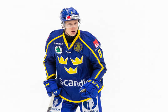 Sveriges Fredrik Olofsson
