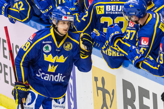 Sveriges Filip Hållander jublar