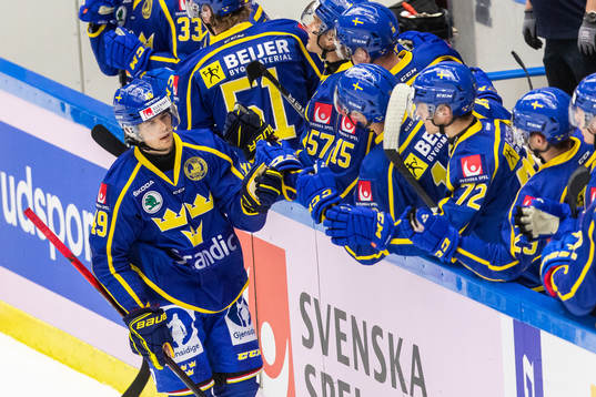 Sveriges Filip Hållander jublar