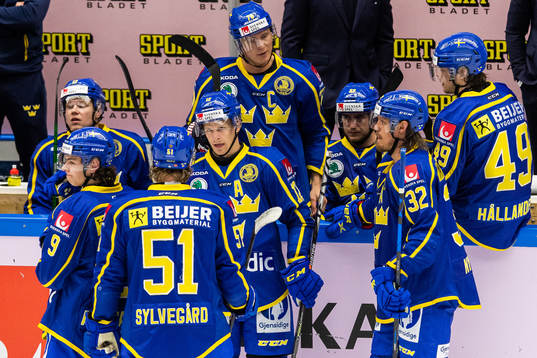 Sveriges Max Friberg i samtal med lagkamrater
