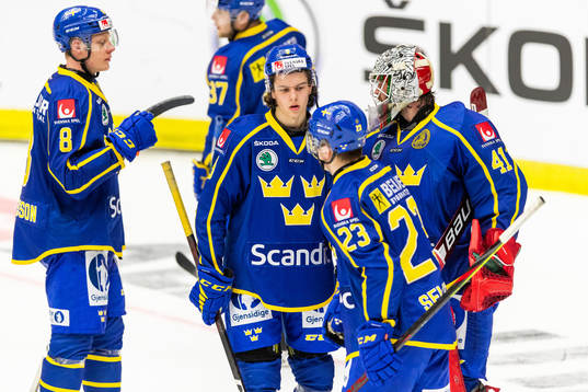 Sveriges Alberg Johansson, Jesper Sellgren och målvakt