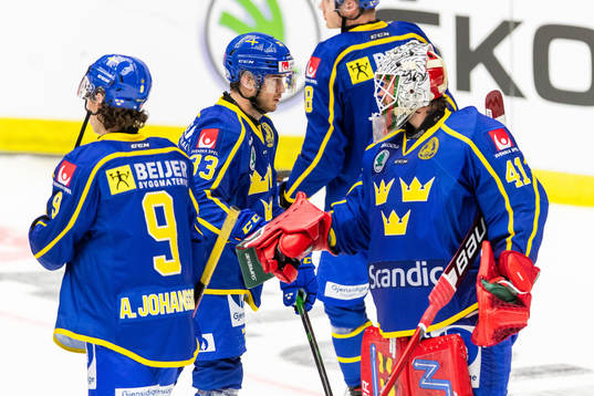 Sveriges Michael Lindqvist och målvakt Niklas Rubin jublar