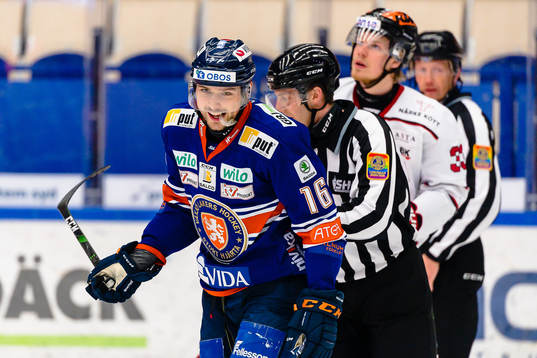 Växjös Brendan Gaunce