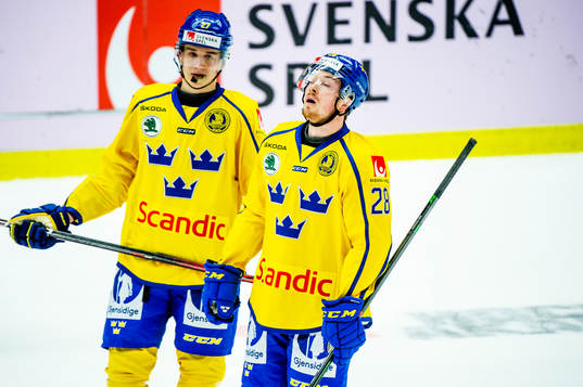 Nils Lundkvist  and Jesper Frödén of Swedenduring the ice