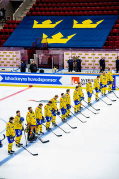 The Swedish team line up