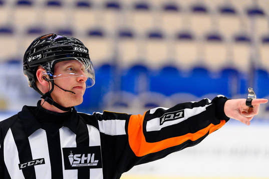 Domare Mikael Holm