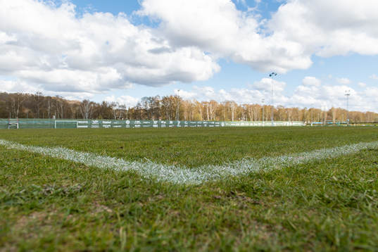 Gräslanen vid Gothia Park Academy