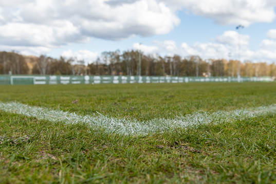 Gräslanen vid Gothia Park Academy