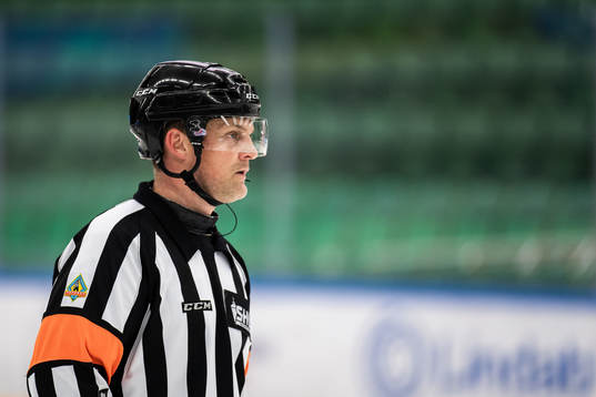 Domare Mikael Nord