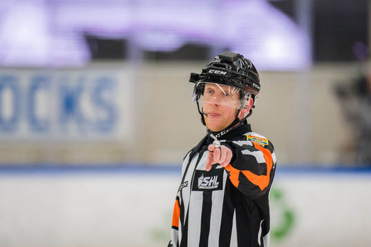 Domare Mikael Holm