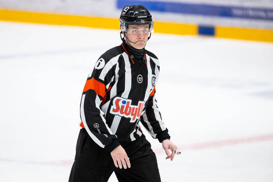 Domare Daniel Eriksson