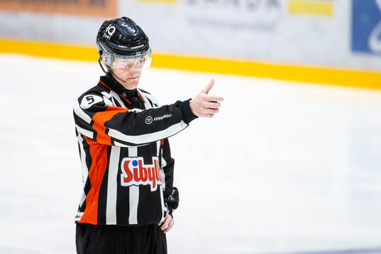 Domare Daniel Eriksson