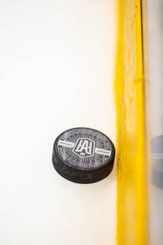 Hockeyallsvenska pucken