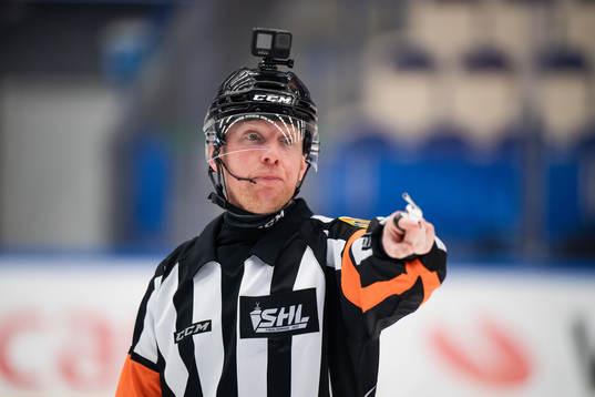 Domare Mikael Holm