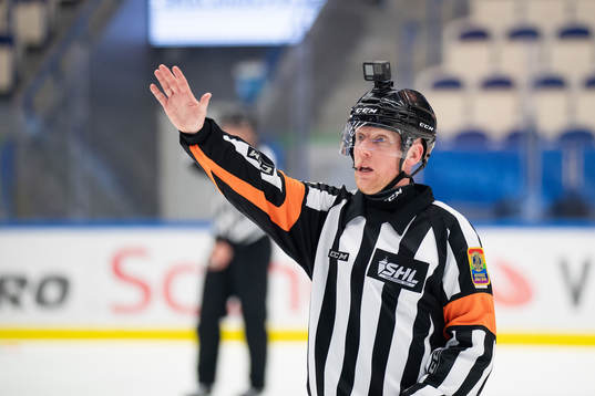 Domare Mikael Holm