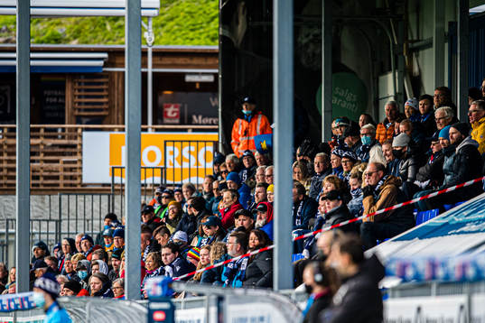 Spectators in the stands