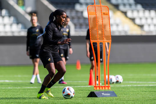 Evelyn Ijeh