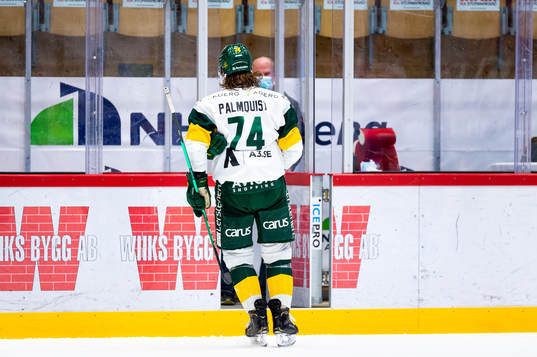 Björklövens Zach Palmquist utvisas