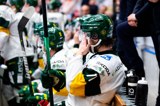 Björklövens Gustav Possler deppar