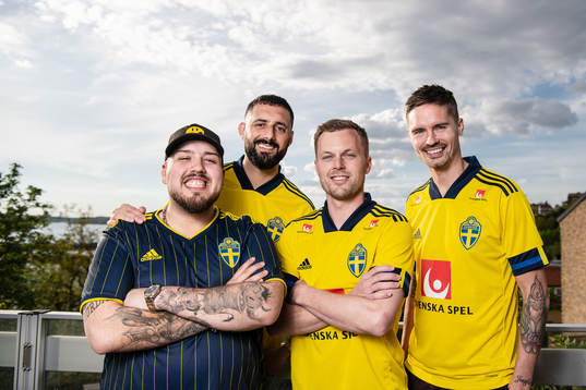 Bläddra bland fler bilder av Football, Sweden, Press conference