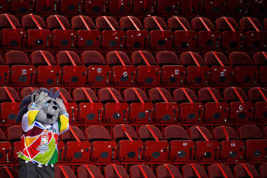 The official mascot in the stands