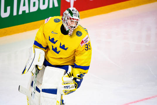Goalkeeper Adam Reideborn  of Sweden