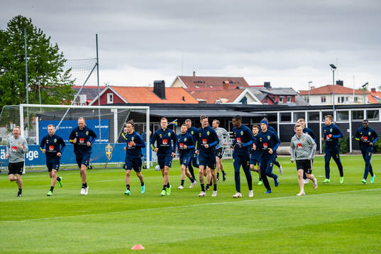 Players of Sweden