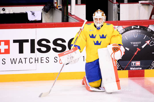 Goalkeeper Viktor Fasth of Sweden