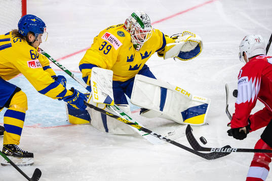 Goalkeeper Adam Reideborn of Sweden