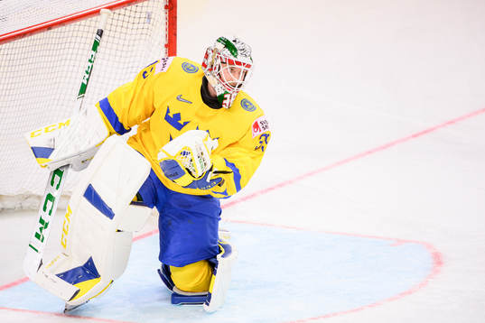 Goalkeeper Adam Reideborn of Sweden