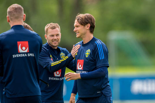 Sebastian Larsson and Albin Ekdal