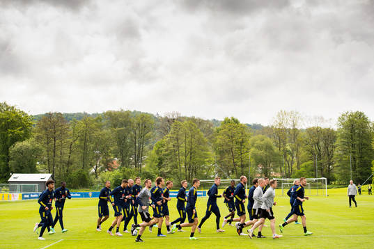 Players of Sweden